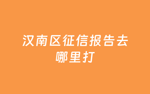 汉南区征信报告去哪里打