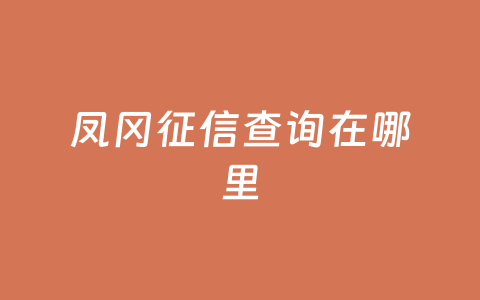 凤冈征信查询在哪里