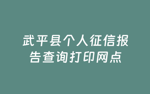 武平县个人征信报告查询打印网点