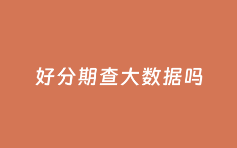 好分期查大数据吗