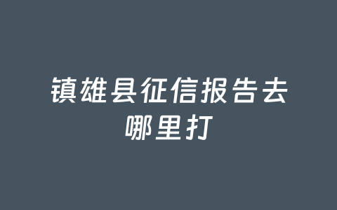 镇雄县征信报告去哪里打