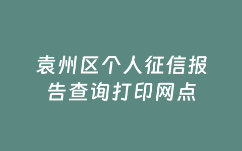 袁州区个人征信报告查询打印网点