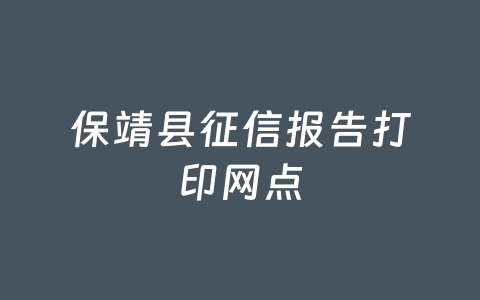 保靖县征信报告打印网点