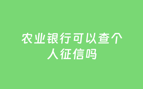 农业银行可以查个人征信吗