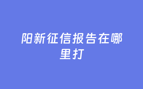 阳新征信报告在哪里打