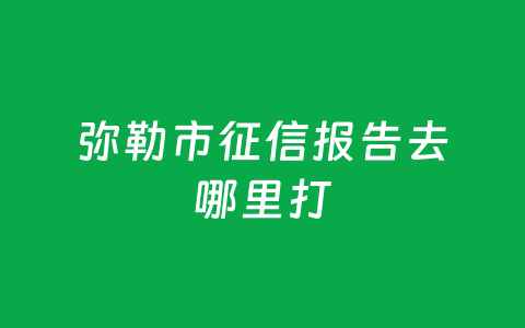 弥勒市征信报告去哪里打
