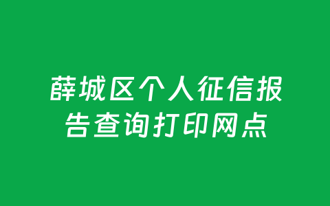薛城区个人征信报告查询打印网点