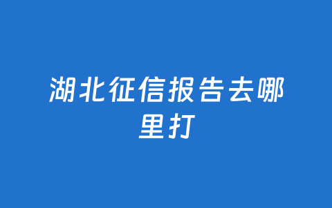 湖北征信报告去哪里打