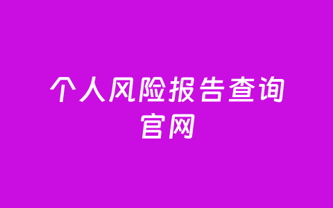 个人风险报告查询官网