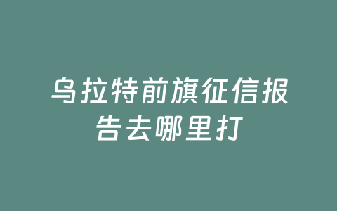乌拉特前旗征信报告去哪里打