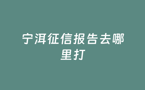 宁洱征信报告去哪里打