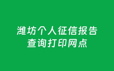 潍坊个人征信报告查询打印网点