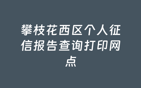 攀枝花西区个人征信报告查询打印网点