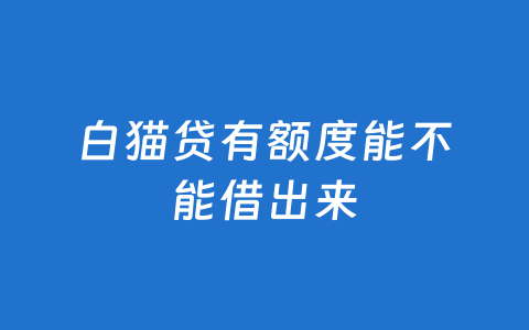 白猫贷有额度能不能借出来