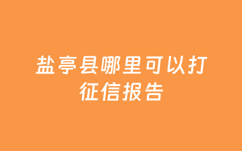 盐亭县哪里可以打征信报告