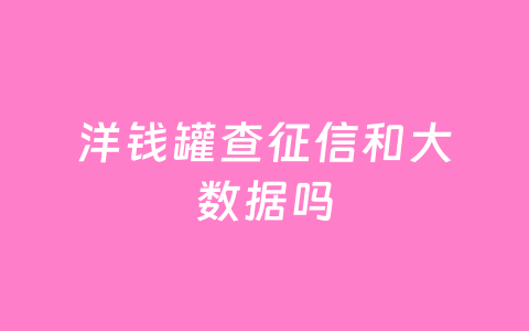 洋钱罐查征信和大数据吗