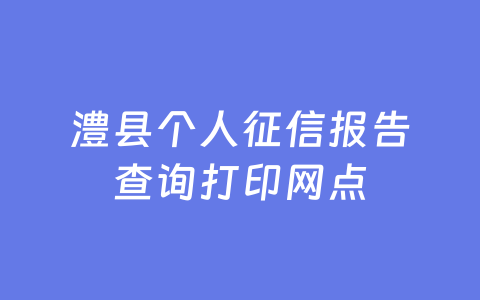 澧县个人征信报告查询打印网点