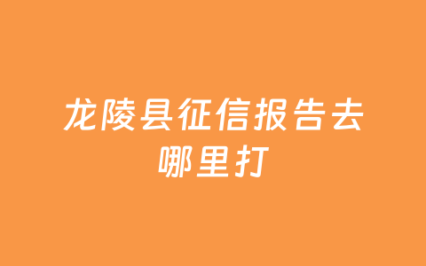 龙陵县征信报告去哪里打