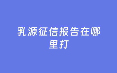乳源征信报告在哪里打