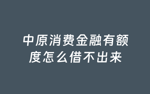 中原消费金融有额度怎么借不出来