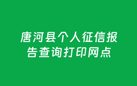 唐河县个人征信报告查询打印网点