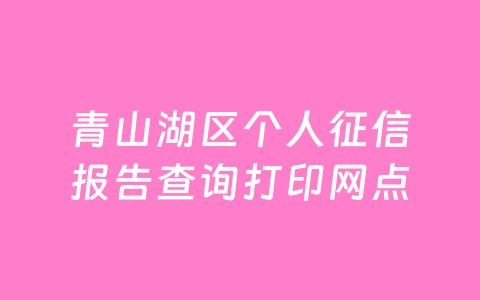 青山湖区个人征信报告查询打印网点
