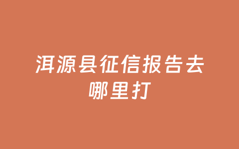 洱源县征信报告去哪里打