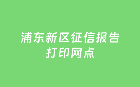 浦东新区征信报告打印网点