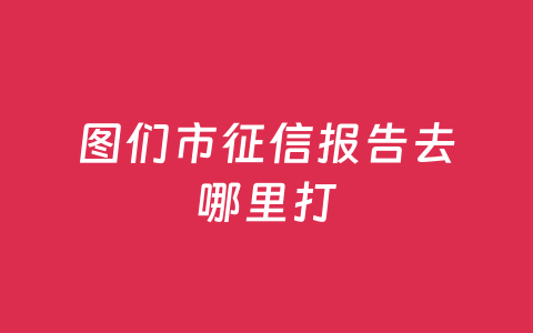 图们市征信报告去哪里打
