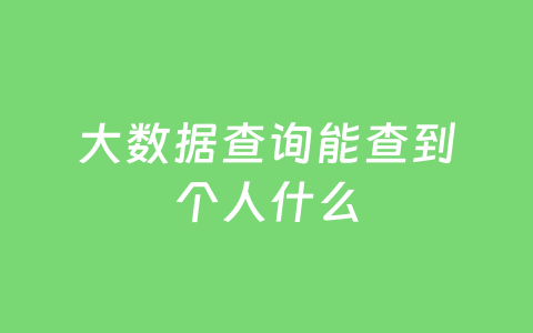 大数据查询能查到个人什么