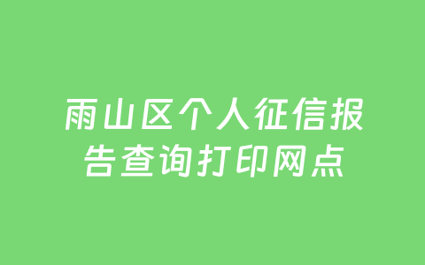 雨山区个人征信报告查询打印网点