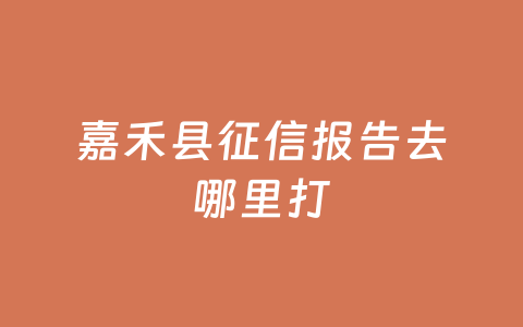 嘉禾县征信报告去哪里打