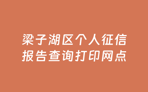 梁子湖区个人征信报告查询打印网点