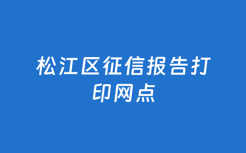 松江区征信报告打印网点