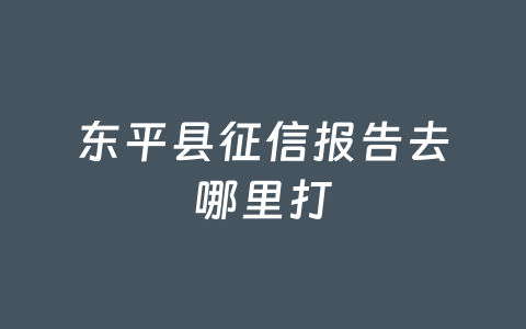 东平县征信报告去哪里打