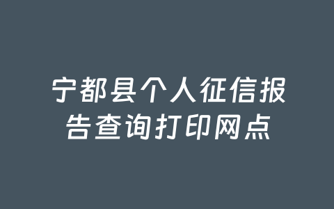 宁都县个人征信报告查询打印网点