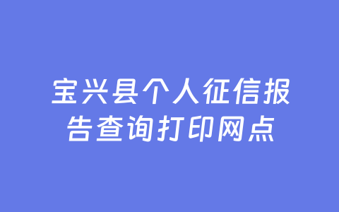 宝兴县个人征信报告查询打印网点