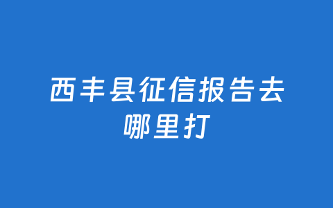 西丰县征信报告去哪里打
