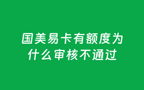 国美易卡有额度为什么审核不通过
