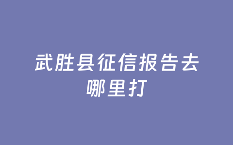 武胜县征信报告去哪里打