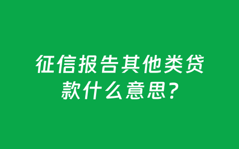 征信报告其他类贷款什么意思?