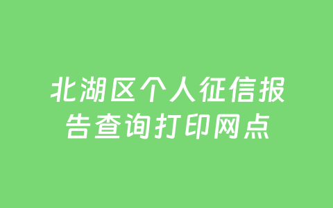 北湖区个人征信报告查询打印网点
