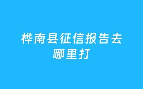 桦南县征信报告去哪里打