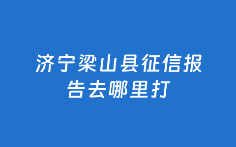 济宁梁山县征信报告去哪里打