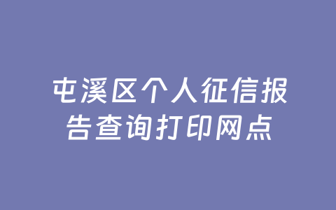 屯溪区个人征信报告查询打印网点