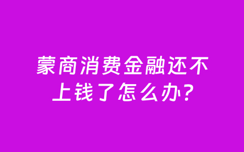 蒙商消费金融还不上钱了怎么办？