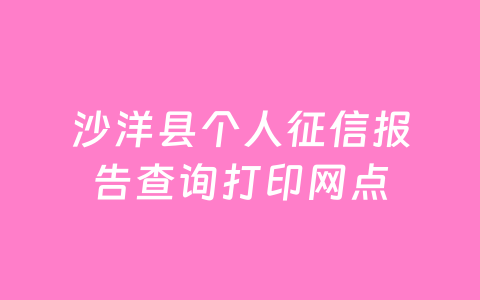 沙洋县个人征信报告查询打印网点