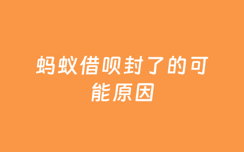 蚂蚁借呗封了的可能原因