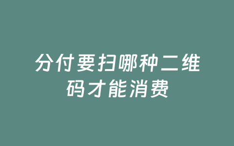 分付要扫哪种二维码才能消费