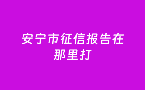安宁市征信报告在那里打